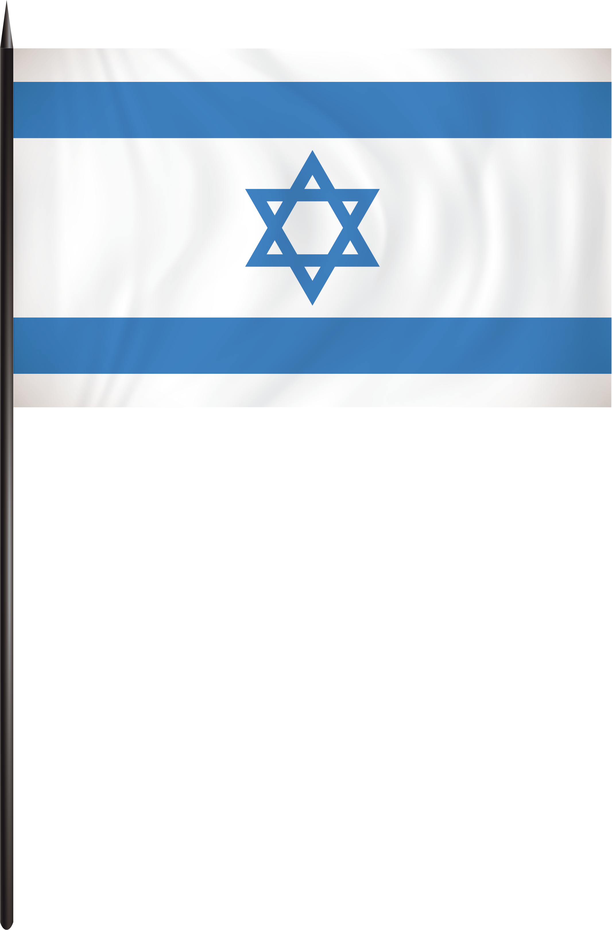 Hand Held Israel Flags