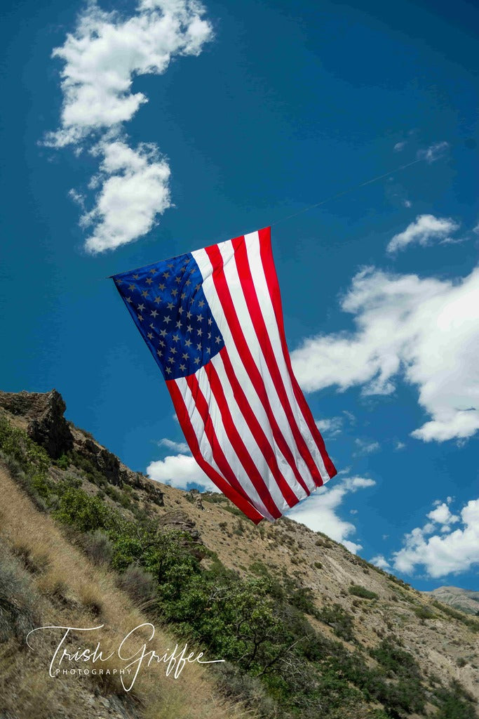 Follow the Flag