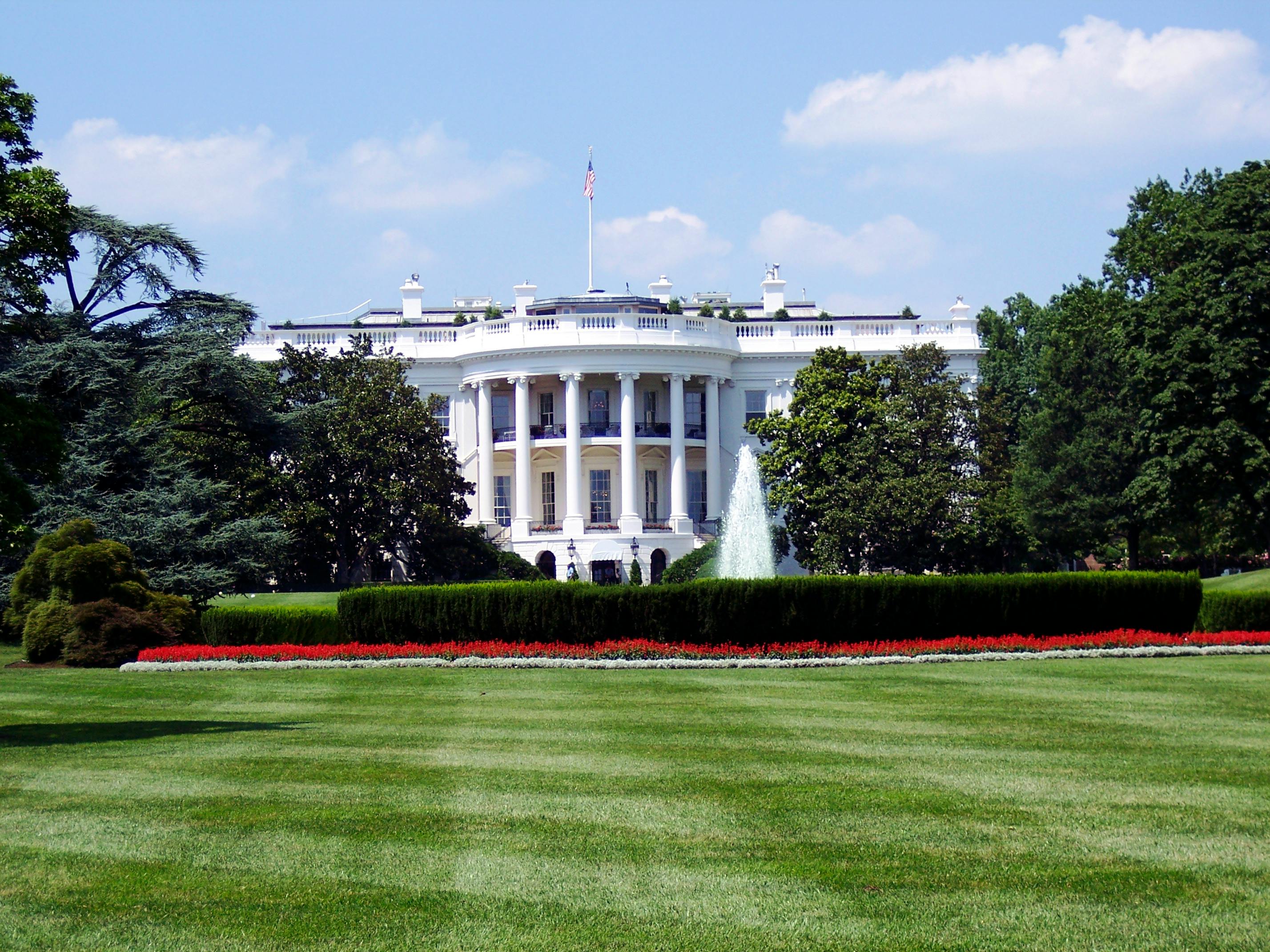 The Art of Respect: What Flag Etiquette Teaches About Gratitude