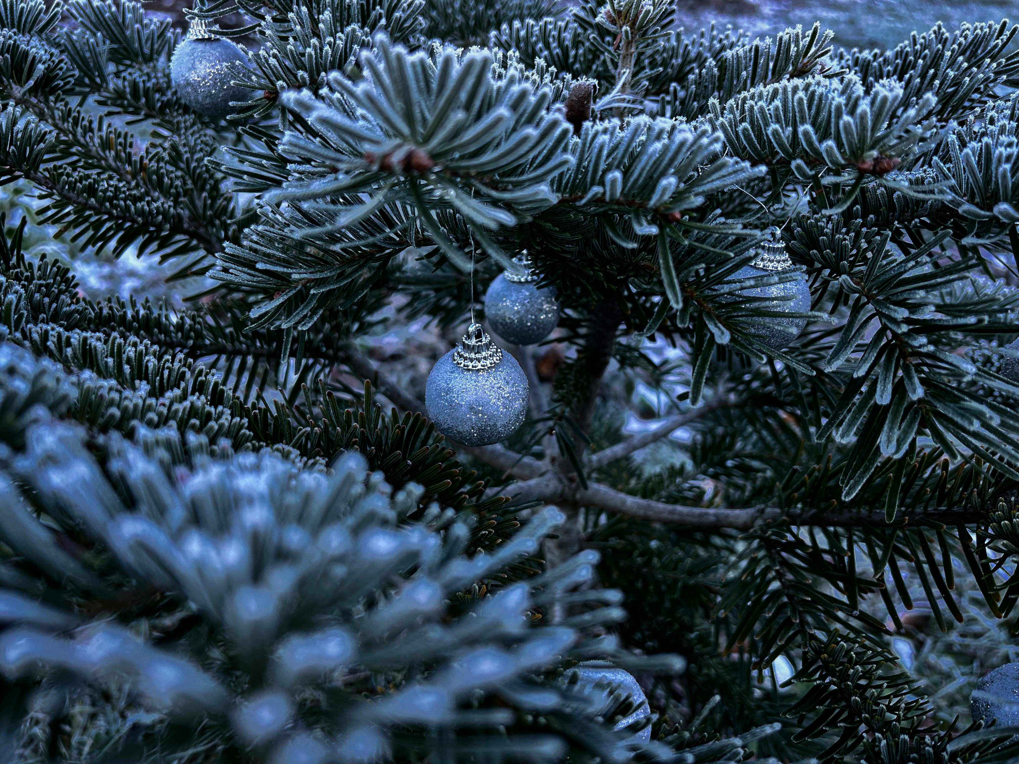 Protecting Your Display: How Cold Weather Affects Flags, Poles, and Hardware