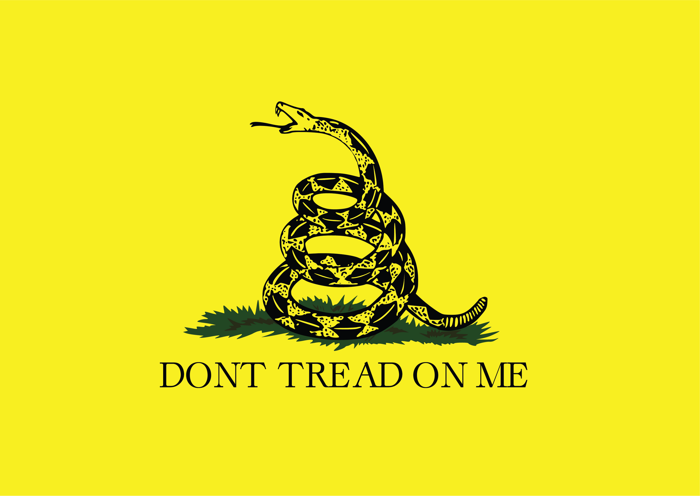 Flag Of Gadsden Gadsden Flag Colonial Flag Flag Of Gadsden Gadsden Flag Colonial Flag