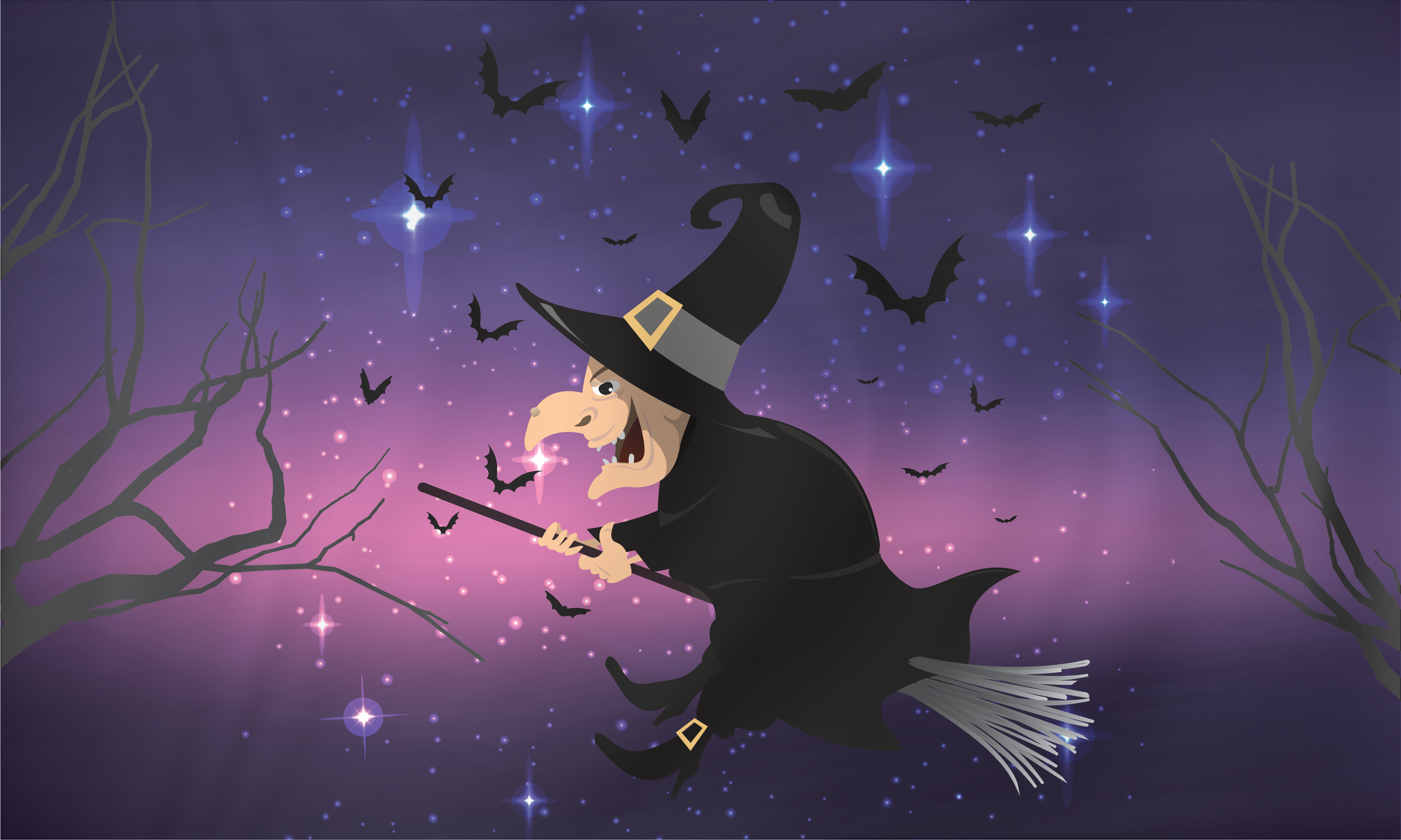Halloween Witch 3'x5' Flag