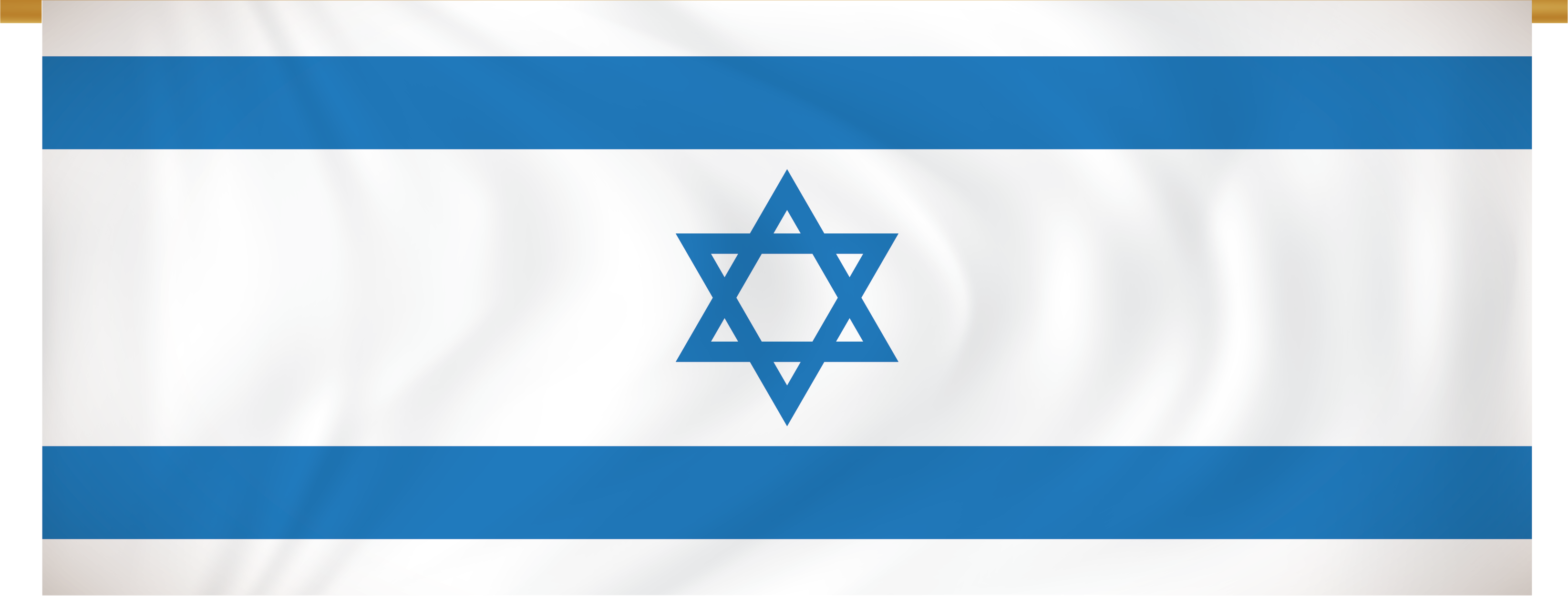 Israel Marching Banner