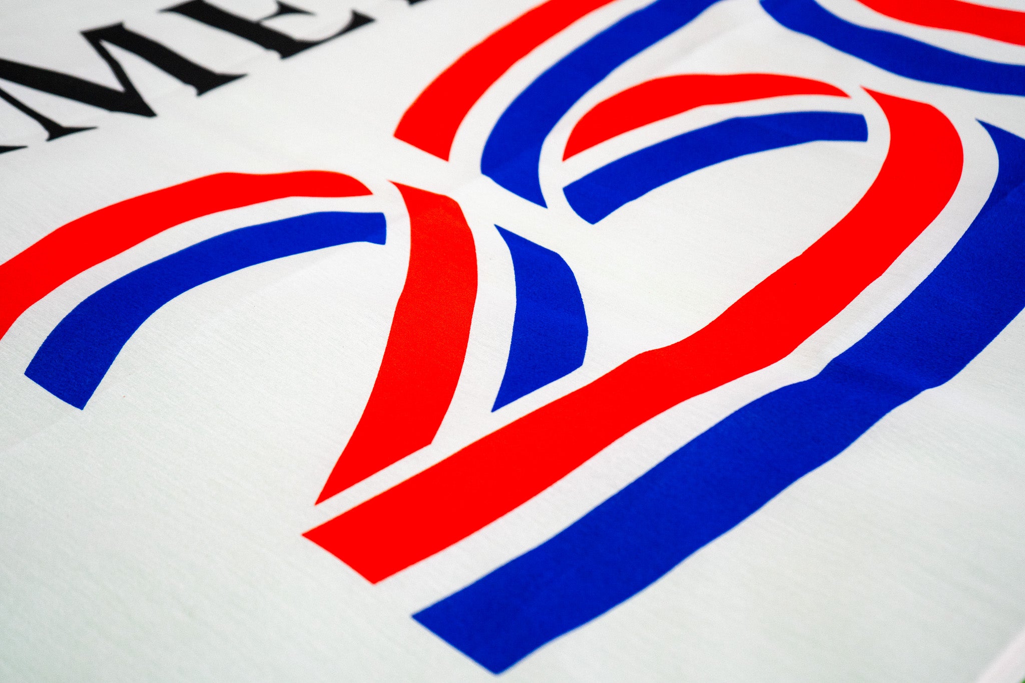 America 250™ Official Logo Flag