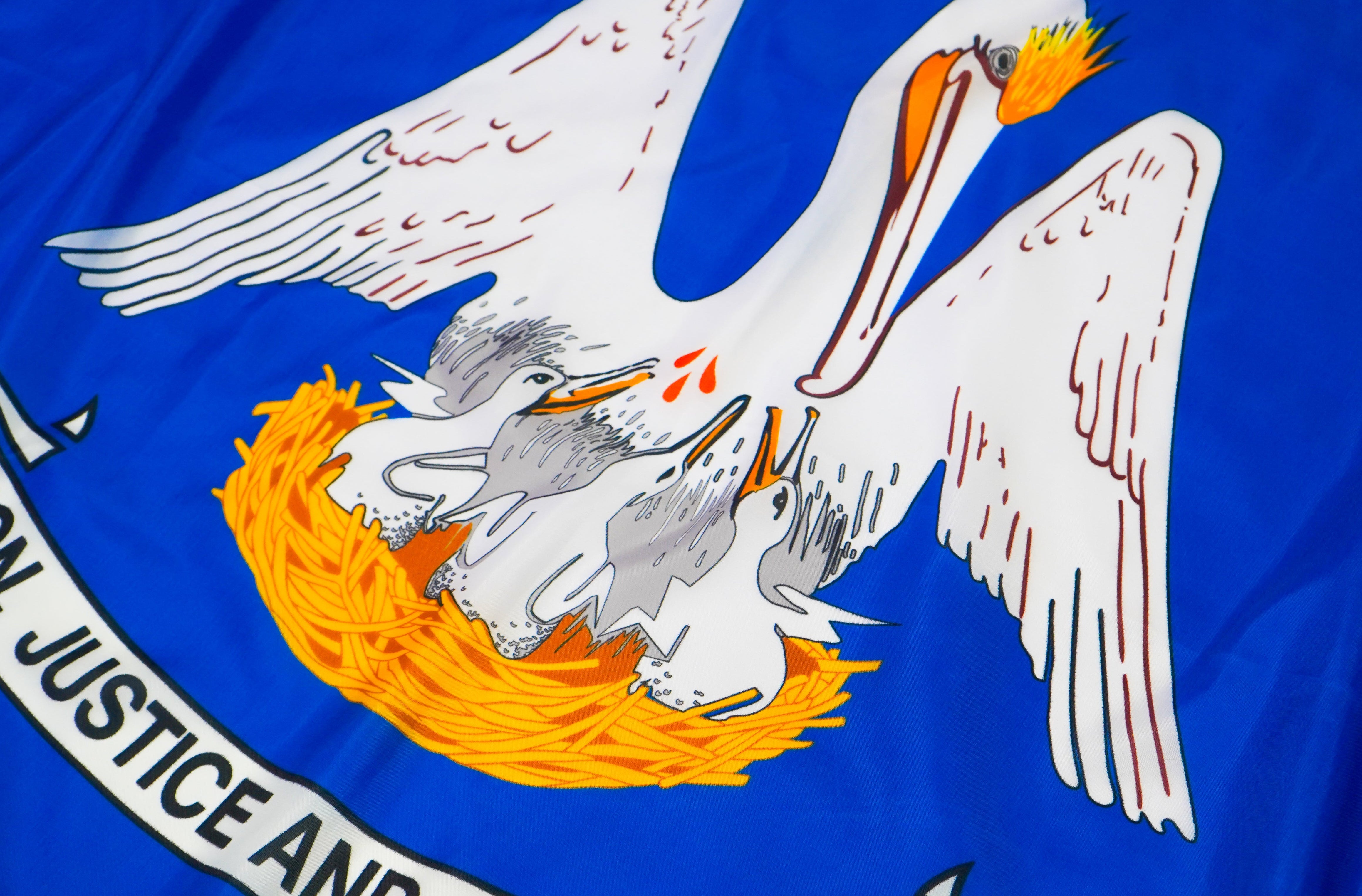 Louisiana State Flags