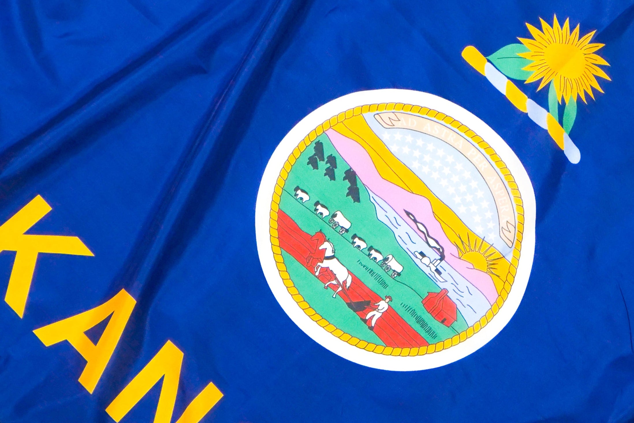 Kansas State Flags