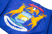 Michigan State Flags