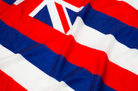 Hawaii State Flag