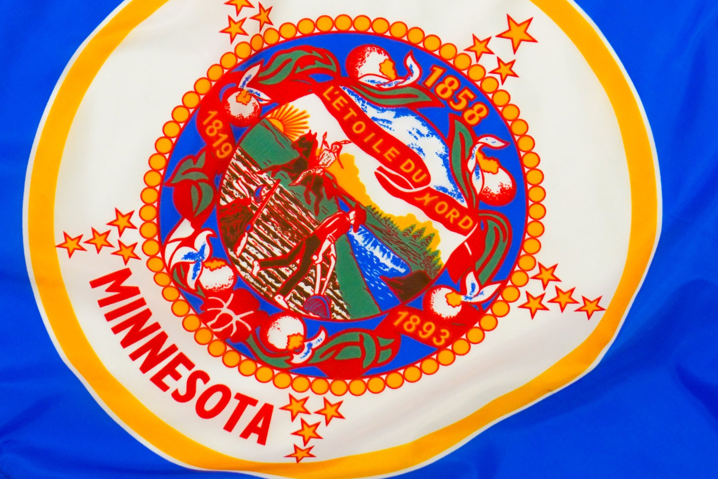 Minnesota State Flags