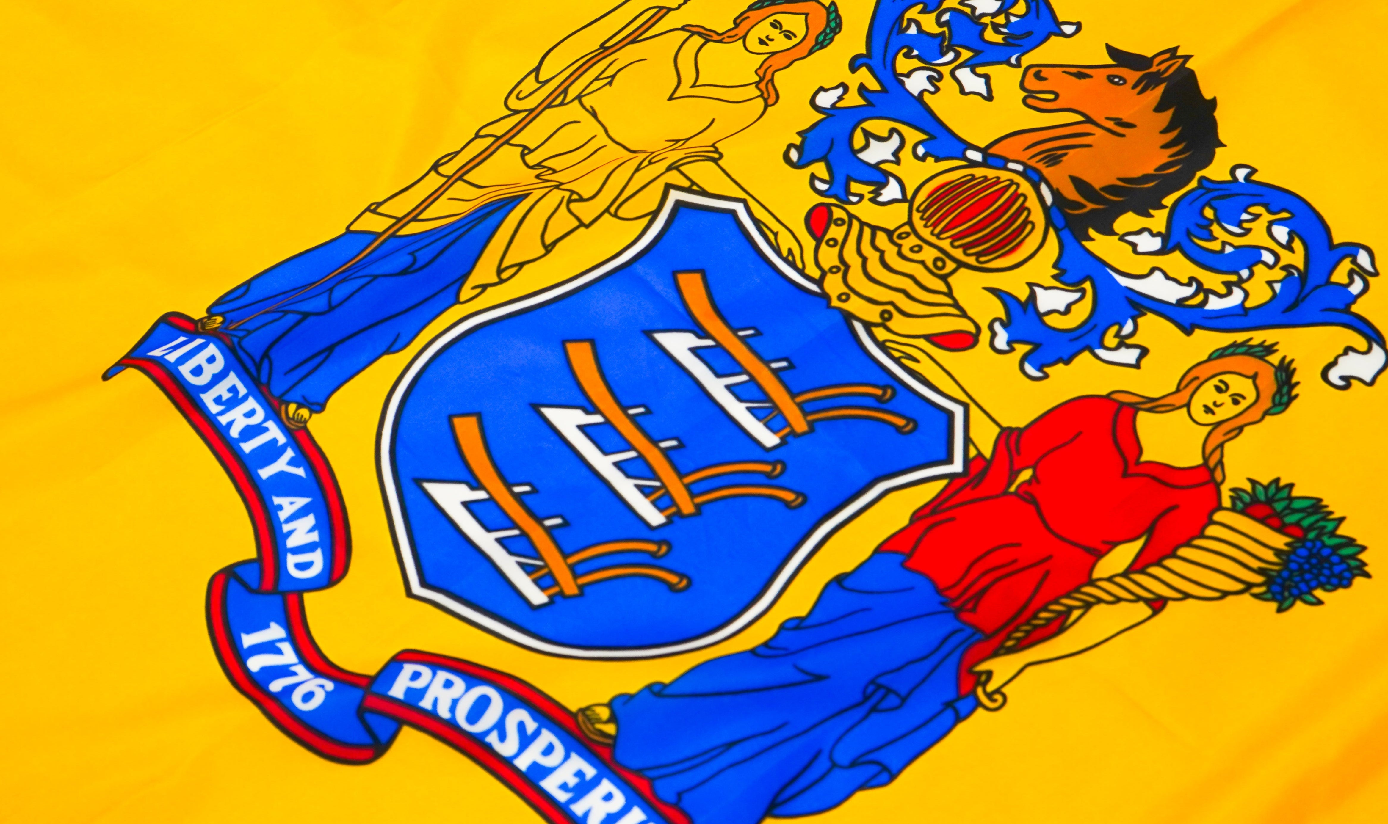 New Jersey State Flags