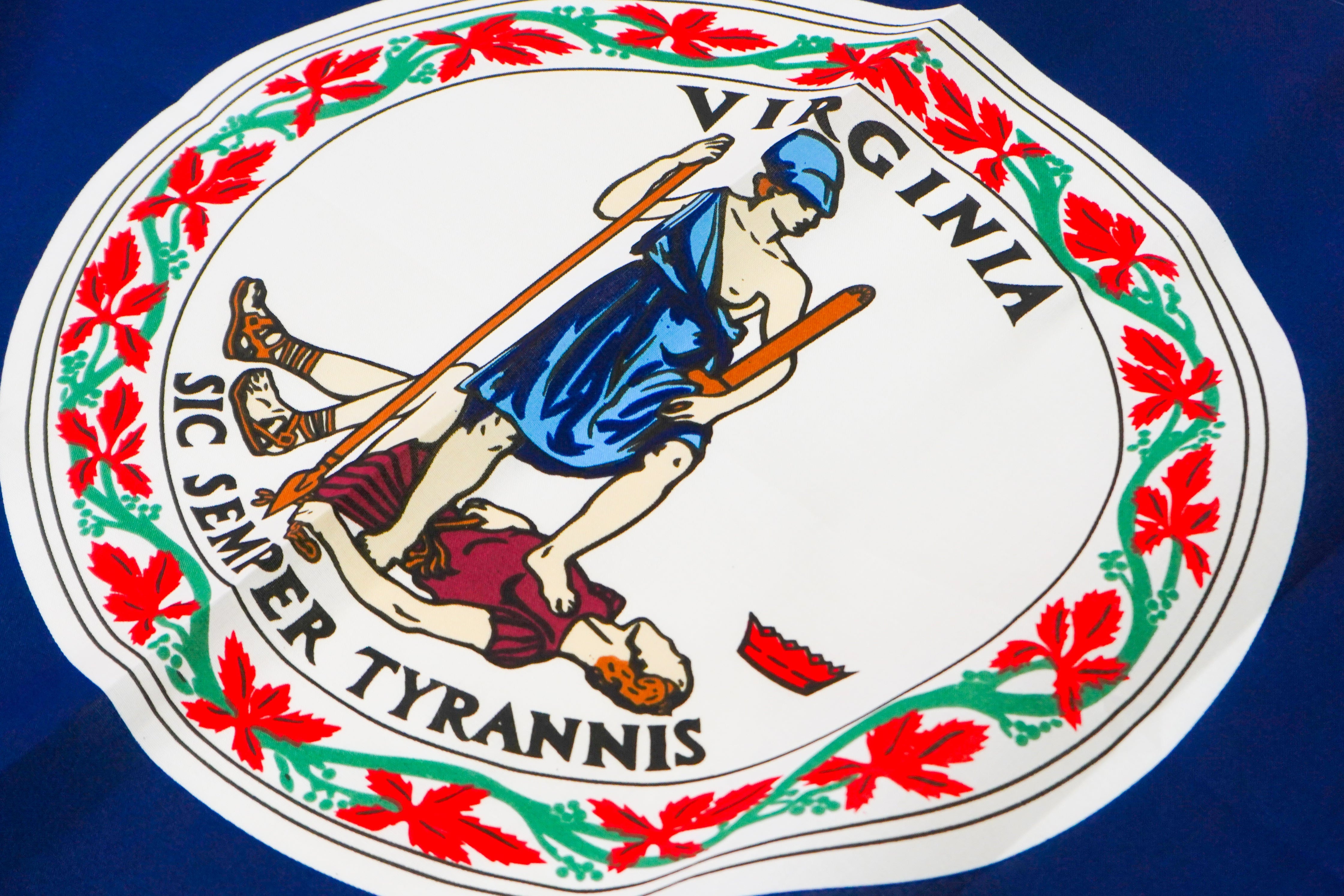 Virginia State Flags