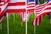 250 Years of Independence Historic Flag Field