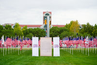 250 Years of Independence Historic Flag Field
