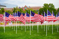 250 Years of Independence Historic Flag Field