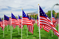 250 Years of Independence Historic Flag Field