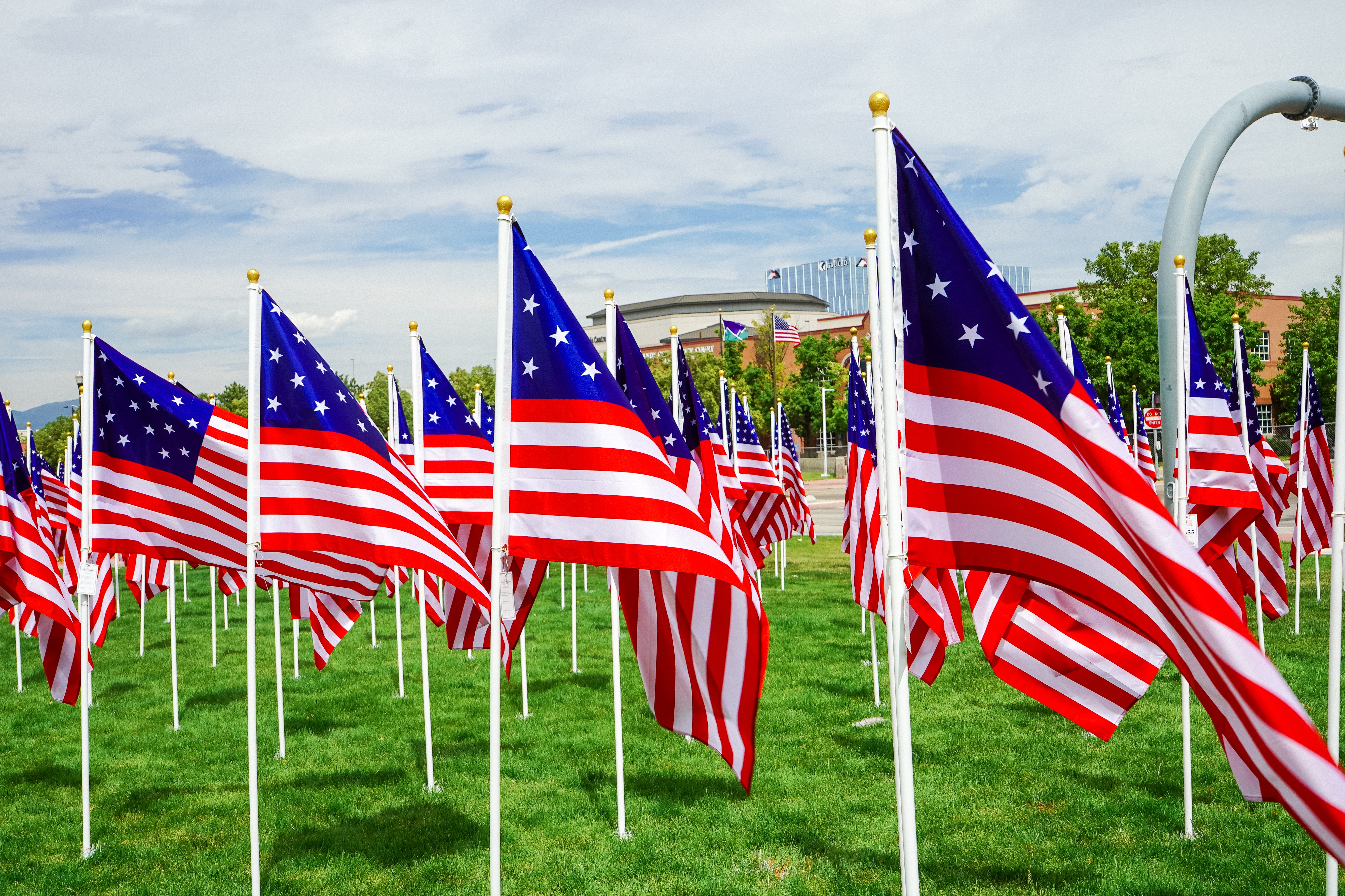 250 Years of Independence Historic Flag Field