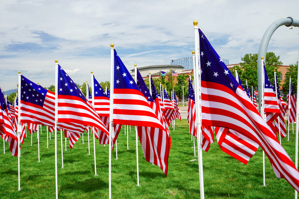 26 Historic Flag Set