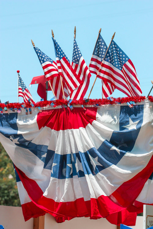 Hand Held  U.S. Flags