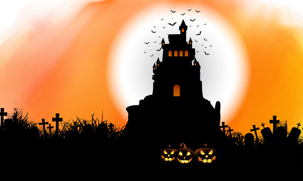 3'x5' Halloween Haunted House Flag