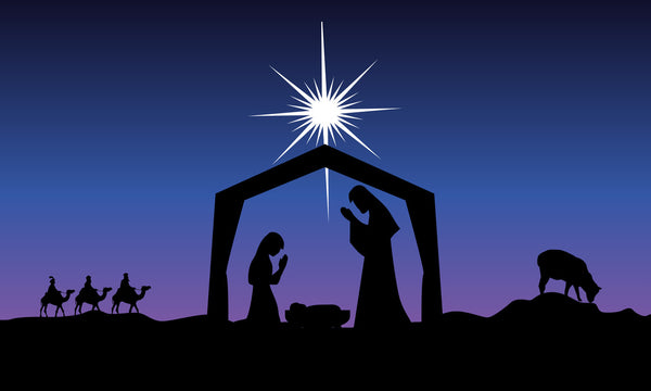 Christmas Nativity 3'x5' Nylon Flag