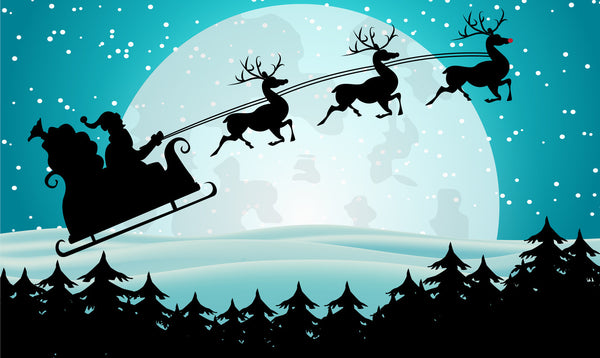 Christmas Sleigh 3'x5'  Nylon Flag