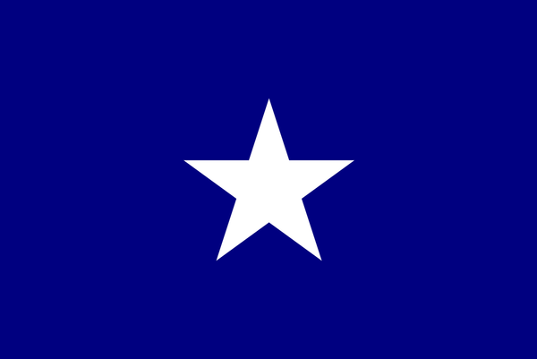 Bonnie Blue Flags