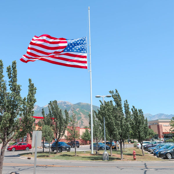50 Foot Commercial Flagpole