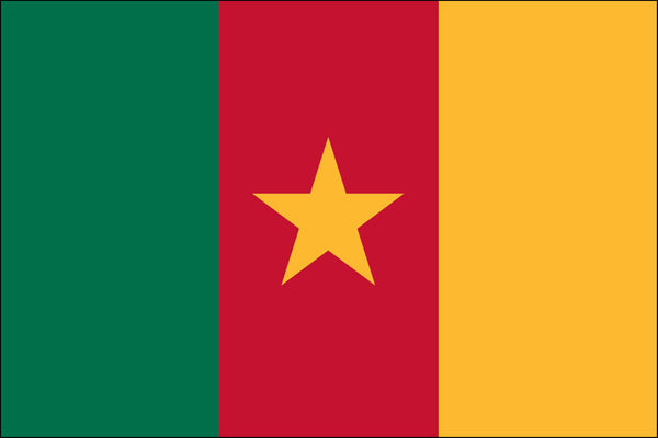 Cameroon Flag